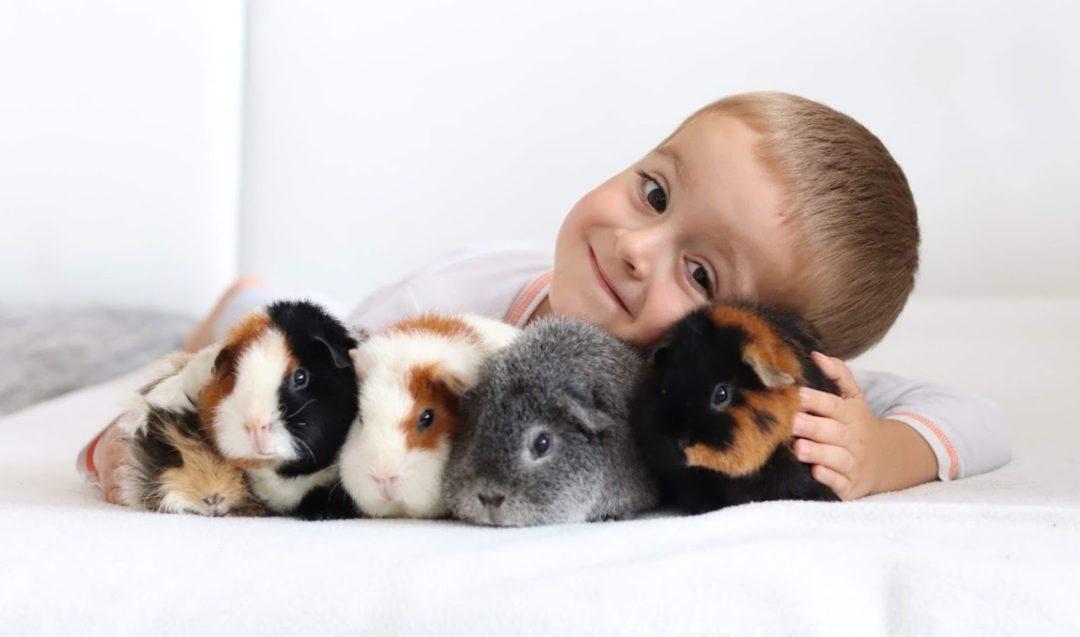 Tým veterinární praxe